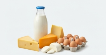 Dairy
